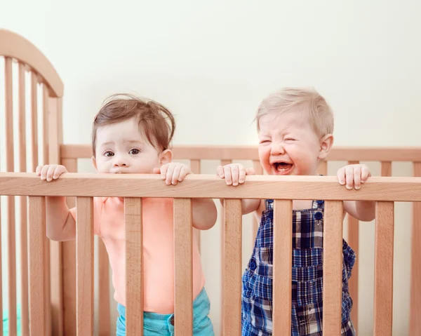 Portrait of two cute adorable funny babies siblings friends of nine months standing in bed crib chewing eating sucking wooden sides creying, looking in camera away, lifestyle everyday sweet candid moment