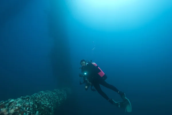 Pacific Ocean Underwater Scuba Diving Sea Life