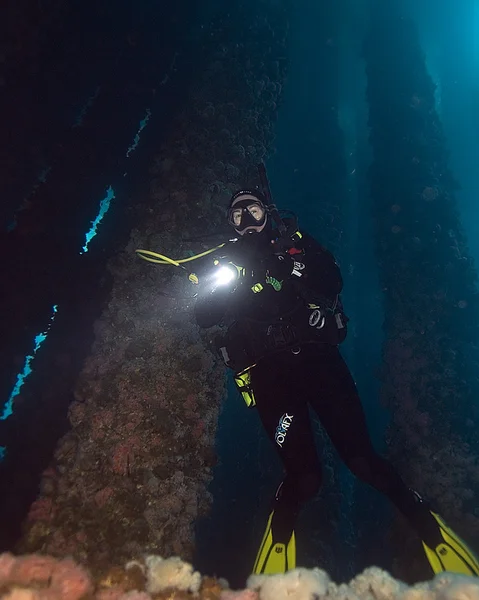 Underwater Scuba diving at California dive sites