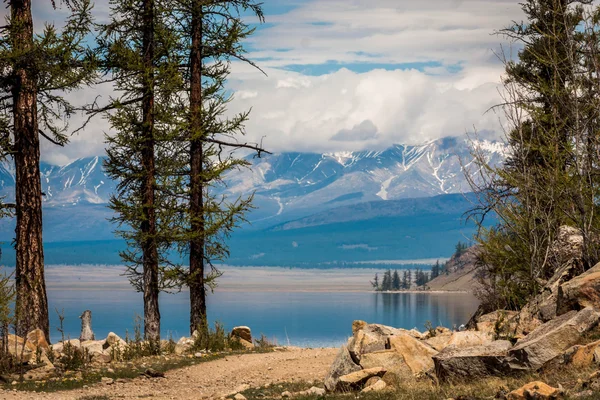 Mongolian nature spring