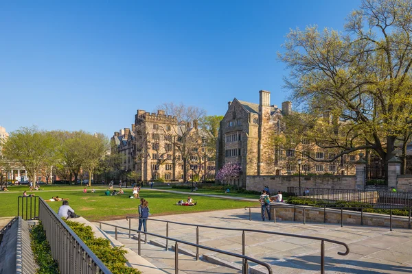Yale University campus