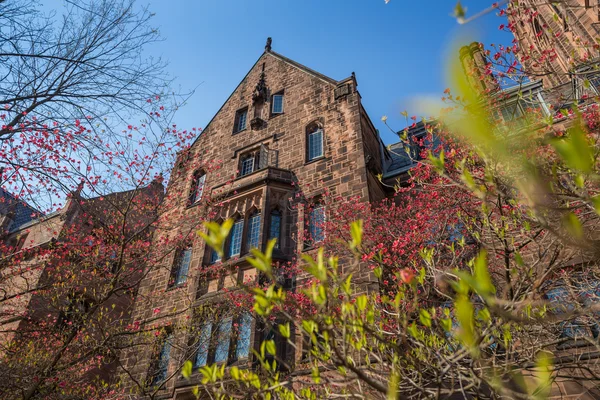 Yale university buildings