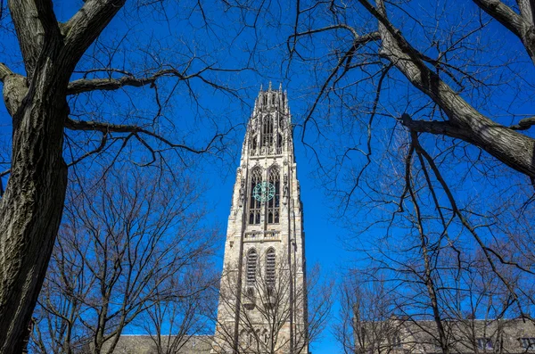Yale university buildings in spring blue sky