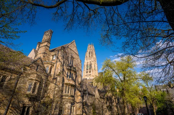 Yale university buildings in spring blue sky