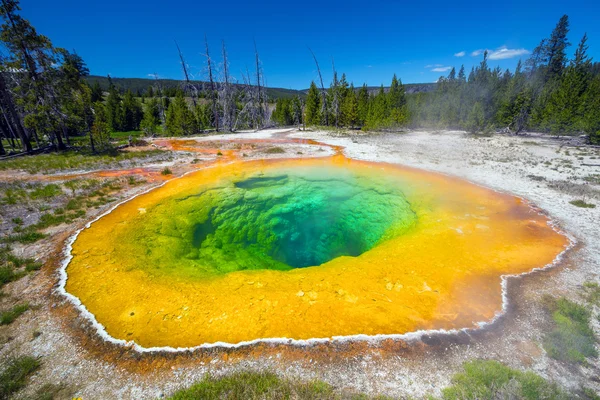 Morning Glory Pool in Yellowstone National Park of Wyoming