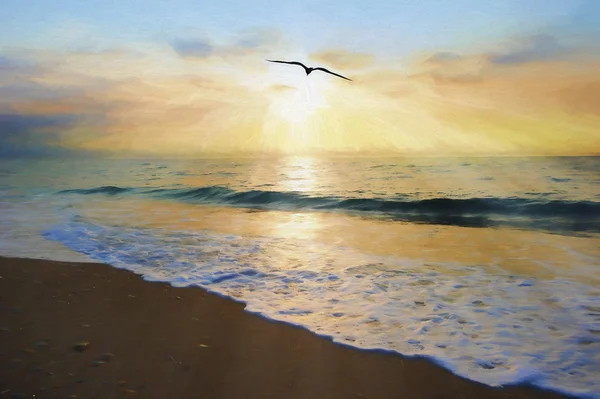 Ocean Sunset Bird