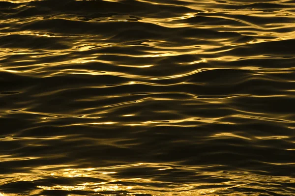 Water Ripples Gold