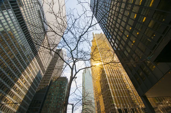 Toronto financial buildings