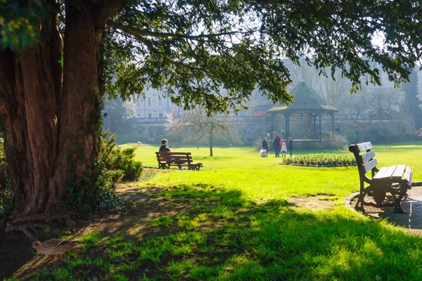 Bath Spring Gardens