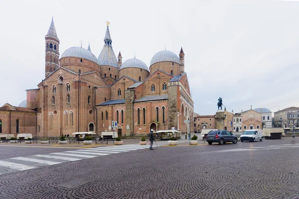 The Basilica of Saint Anthony of Padua