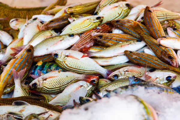 Colored fishes at the market