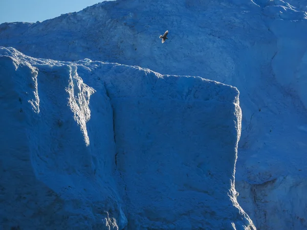 Bird flying against iceberg