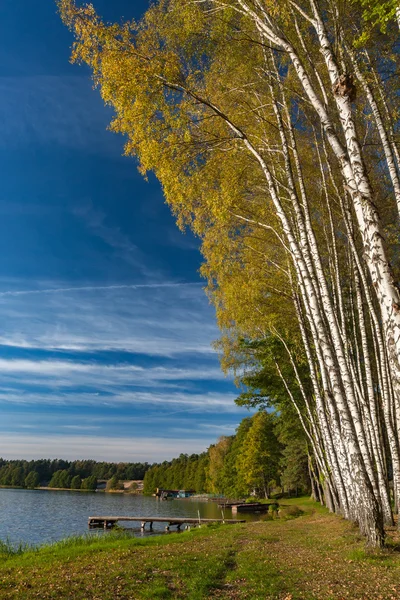 Autumn lake in the setting sun