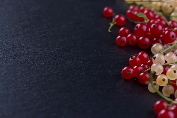 Red and white currant on black background