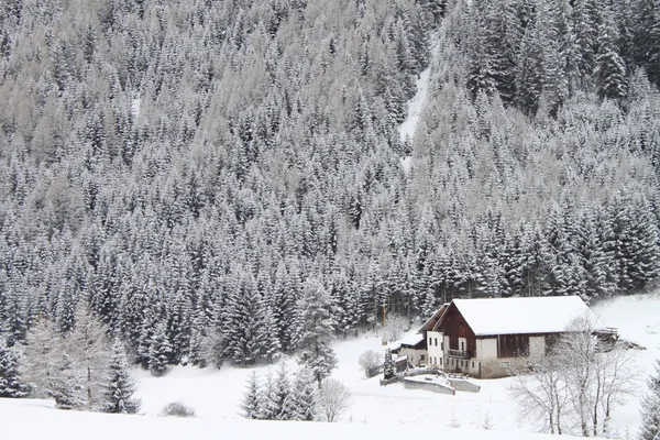 Chalet in a winter landscape