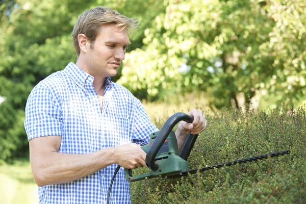 Man Cutting Garden Hedge With Electric Trimmer