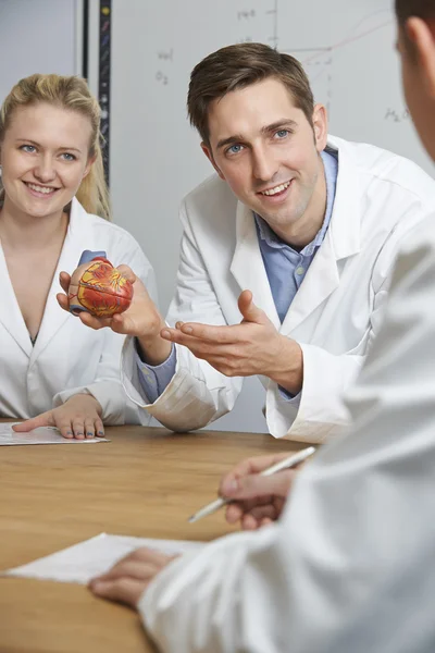 Teacher With Model Of Heart In Biology Class