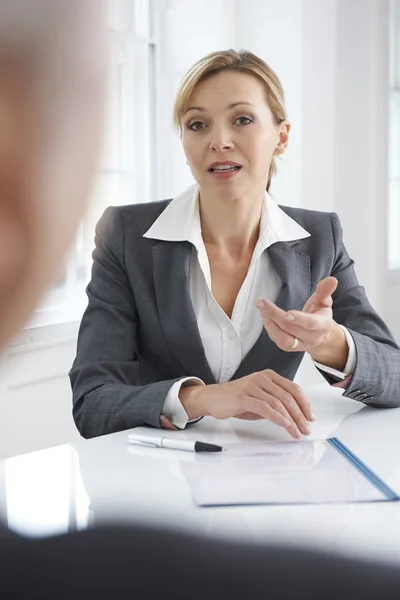 Female Businesswoman Interviewing Male Job Candidate