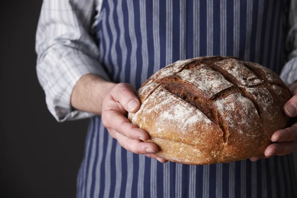 Man Wearing Apron Holding Freshly Baked Loaf Of Bread