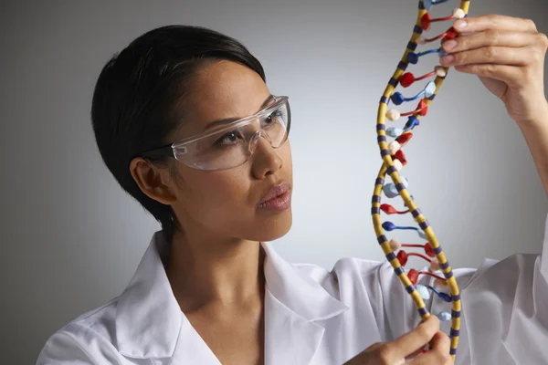 Female Scientist Studying Molecular Model In Shape Of Helix