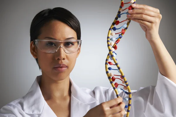 Female Scientist Studying Molecular Model In Shape Of Helix