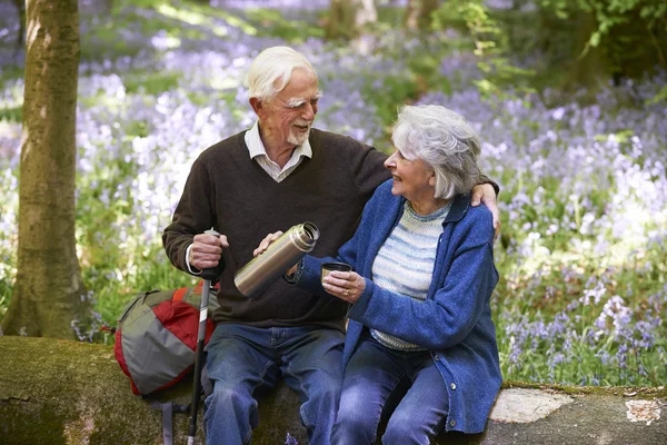 Senior Couple Resting On Walk Through Bluebell Wood