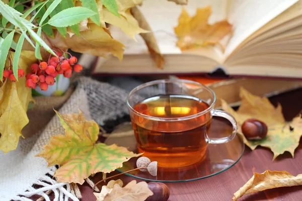 Cup of tea, autumn leaves and fruits