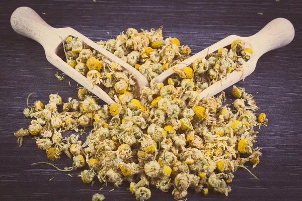 Vintage photo, Dried chamomile on wooden table, alternative medicine