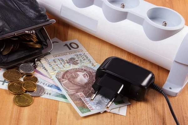 Electrical power strip with disconnected plug and polish currency money, energy costs