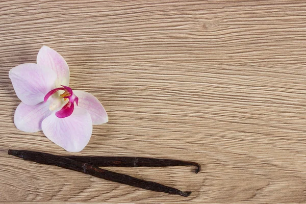 Blooming orchid and fragrant vanilla sticks, copy space for text