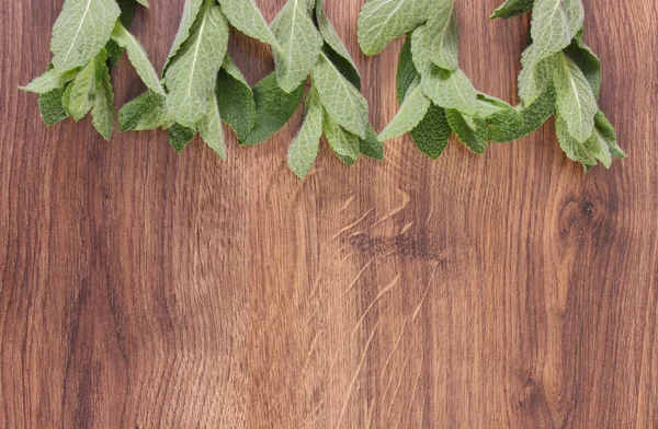 Fresh natural green mint leaves on rustic board, healthy lifestyle, copy space for text