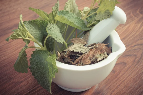 Vintage photo, Fresh green and dried lemon balm in mortar, herbalism, alternative medicine