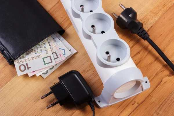 Electrical power strip with plugs and polish currency money, energy costs
