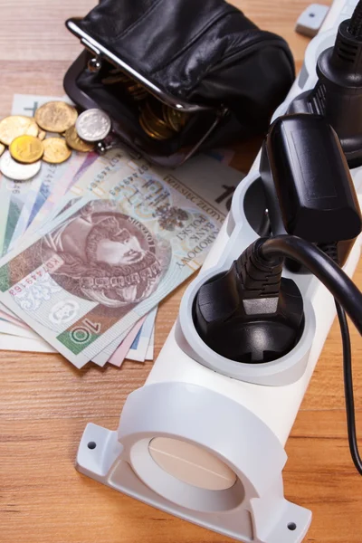 Electrical power strip with connected plugs and polish currency money, energy costs