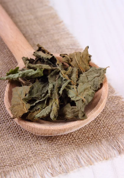 Heap of dried lemon balm with spoon on white wooden table, herbalism