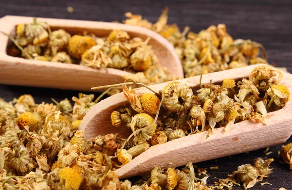 Dried chamomile on wooden table, alternative medicine