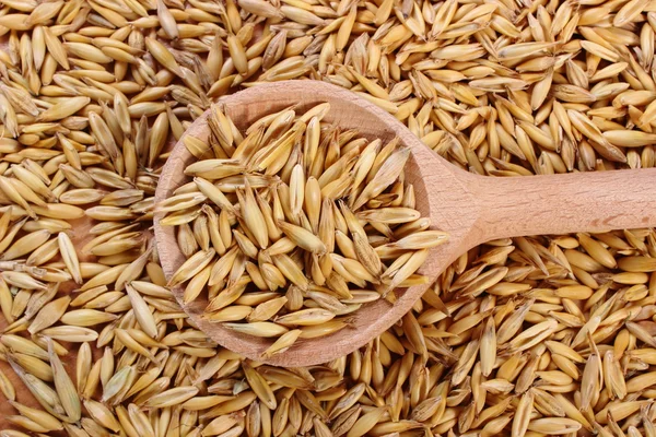 Organic oat grains with wooden spoon, healthy nutrition