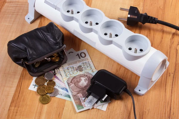 Electrical power strip with disconnected plugs and polish currency money, energy costs