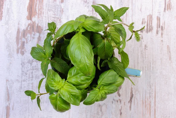 Bunch of fresh mint and basil in cup on old wooden white table