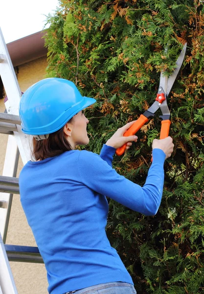 Woman in helmet on ladder uses gardening tool to trim bushes