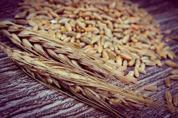 Vintage photo, Heap and ears of rye grain on wooden background