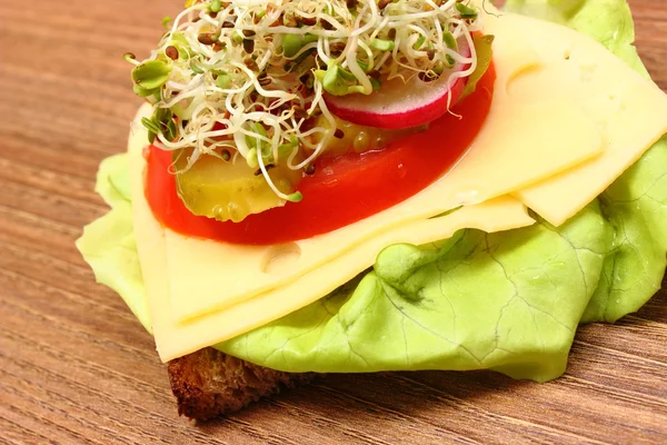 Vegetarian sandwich with alfalfa and radish sprouts