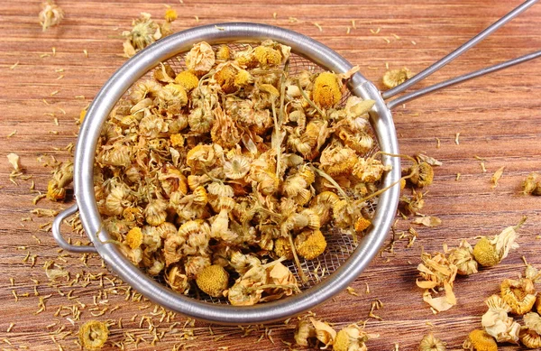 Dried chamomile on metal sieve, alternative medicine
