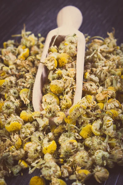 Vintage photo, Dried chamomile on wooden table, alternative medicine