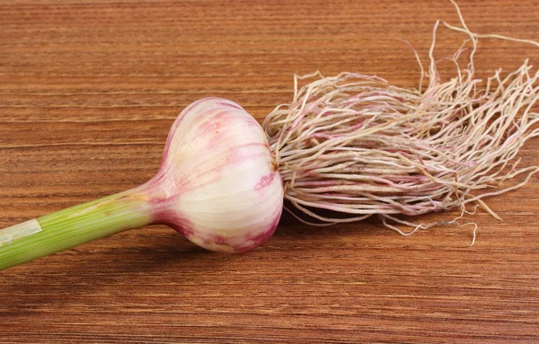 Fresh whole garlic with roots on wooden table
