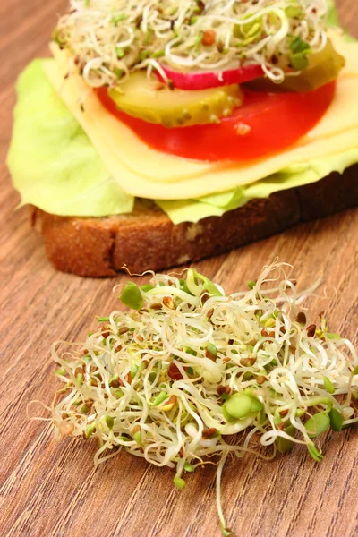 Vegetarian sandwich with alfalfa and radish sprouts