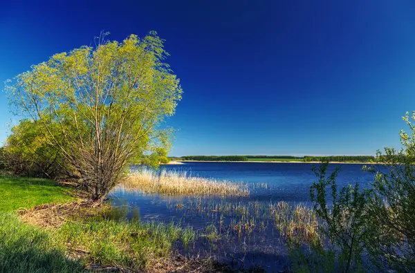 Russian nature landscape with river hot summer day