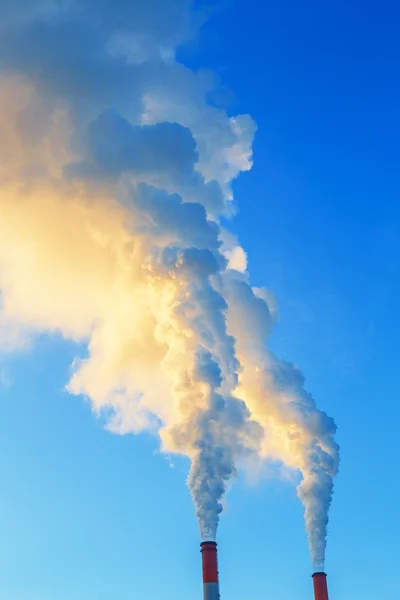 Yellow blue smoke from two tubes of plant