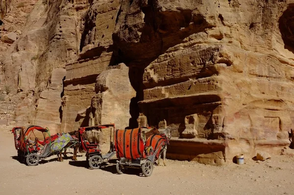 Donkey-drawn carriages in canyon, Petra