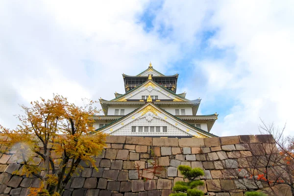 Osaka Castle : Osaka Castle is a Japanese castle